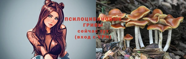 первитин Киреевск