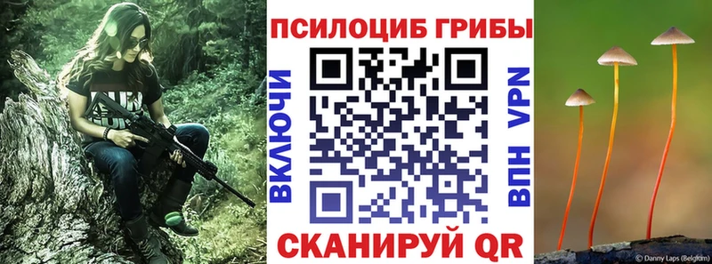Псилоцибиновые грибы MAGIC MUSHROOMS mega ссылка Лесосибирск