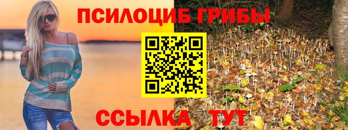 Галлюциногенные грибы MAGIC MUSHROOMS Лесосибирск