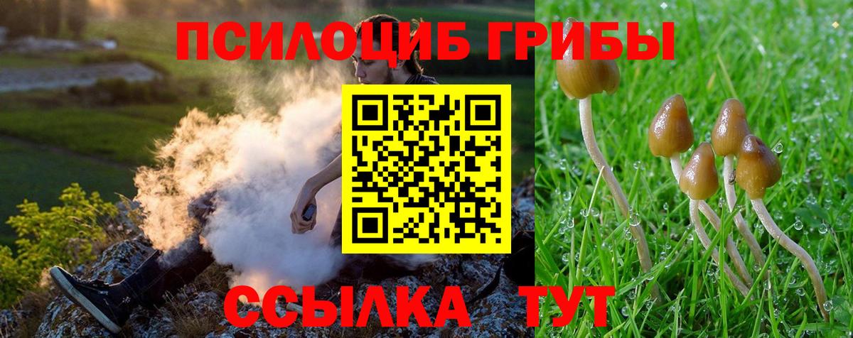 Лесосибирск  Псилоцибиновые грибы Magic Shrooms  Вход с VPN 